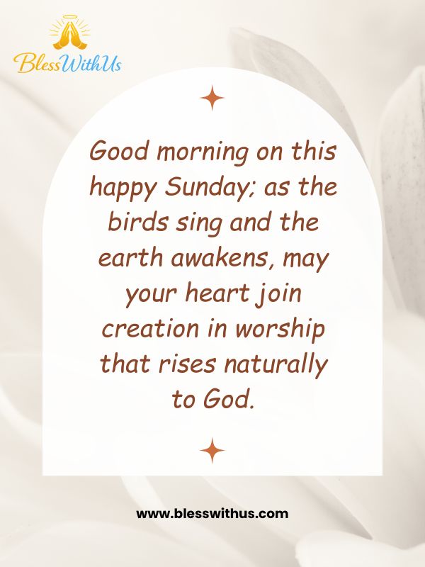 Peaceful Nature Good Morning Happy Sunday