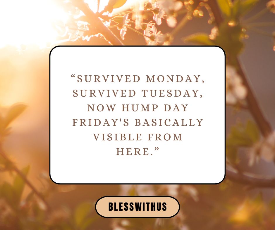 Happy Hump Day Blessings