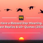 Have a Blessed Day