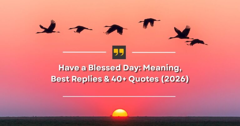 Have a Blessed Day